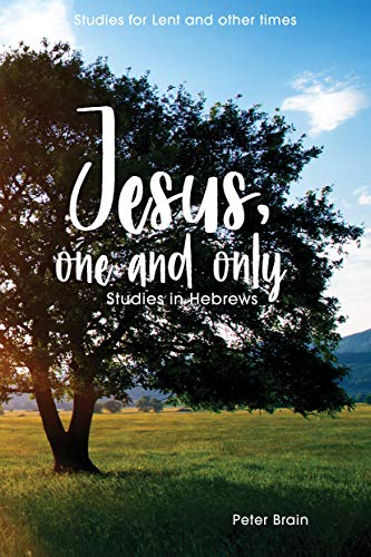 Jesus, One and Only: Studies in Hebrews